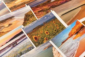 Greetings Cards