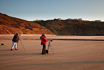 Landscape Workshop